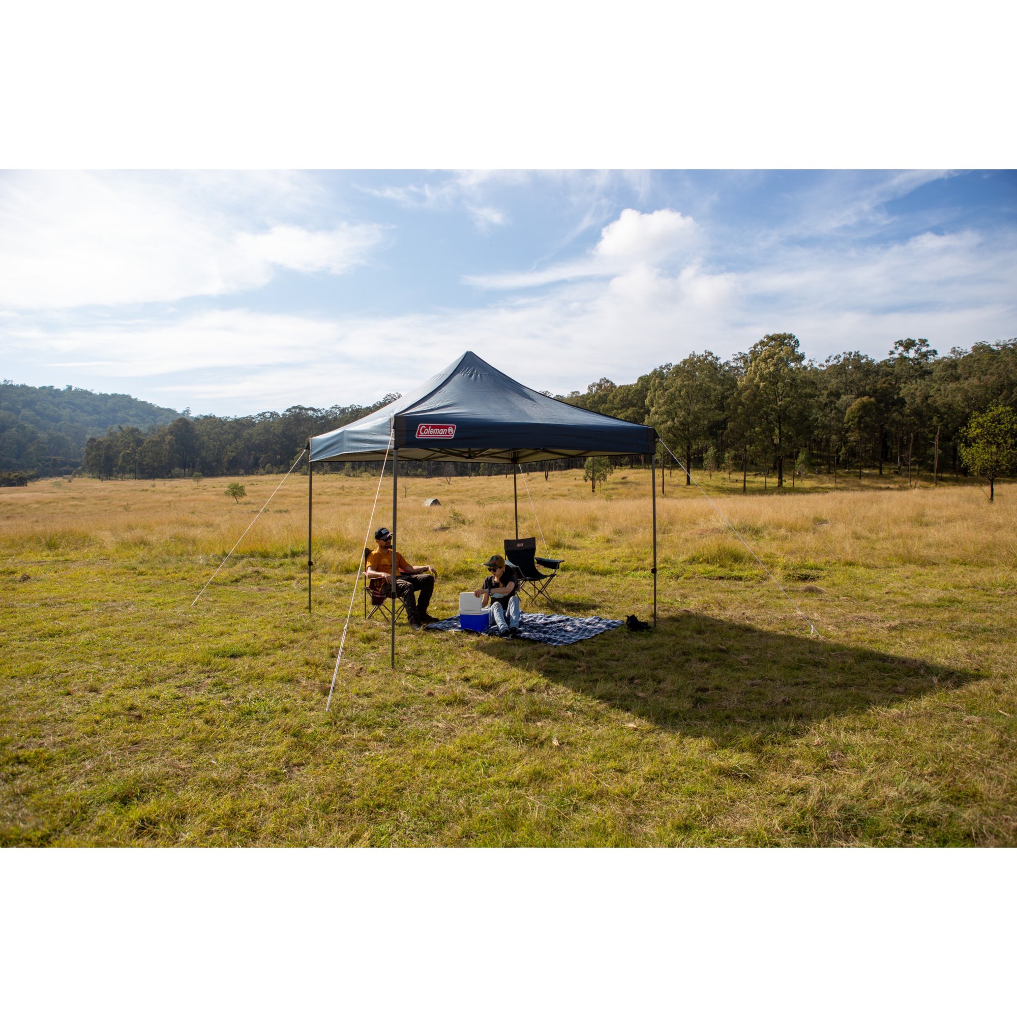 Coleman hotsell 3x3 gazebo